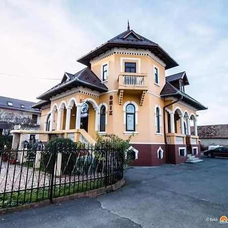 Pensiunea Onix Fagaras Ngoại thất bức ảnh