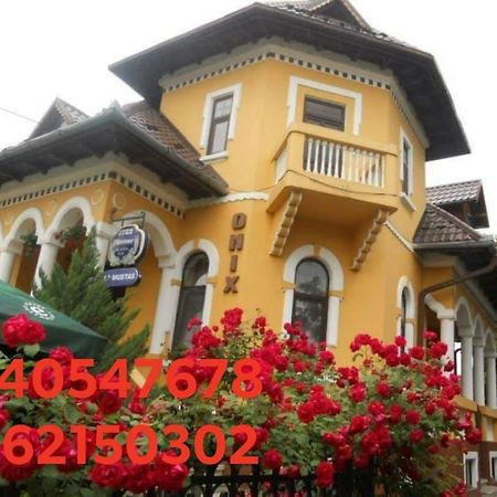 Pensiunea Onix Fagaras Ngoại thất bức ảnh