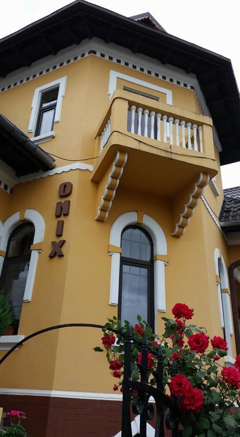 Pensiunea Onix Fagaras Ngoại thất bức ảnh