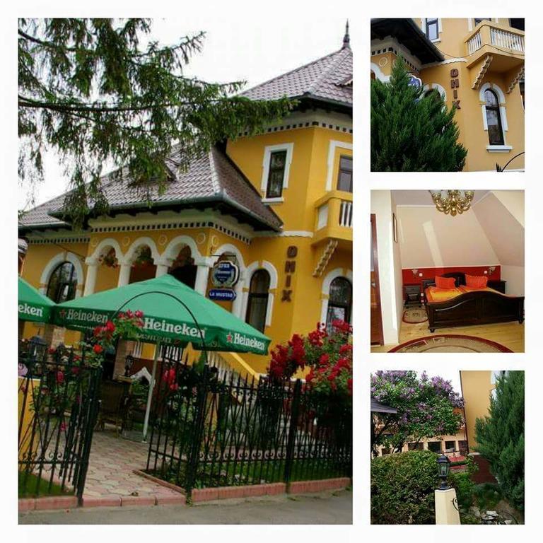 Pensiunea Onix Fagaras Ngoại thất bức ảnh