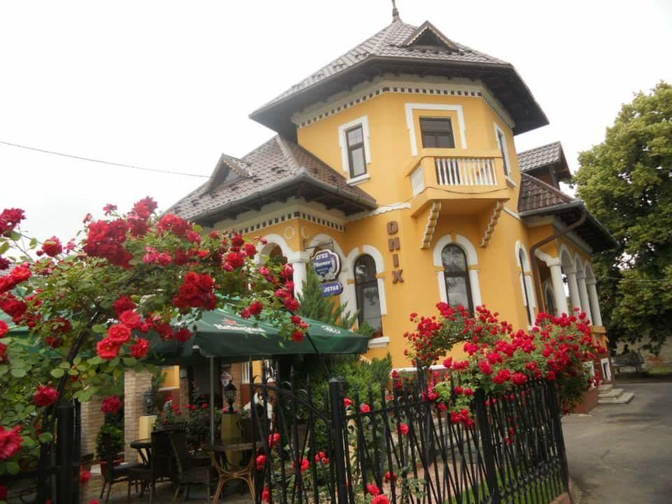 Pensiunea Onix Fagaras Ngoại thất bức ảnh