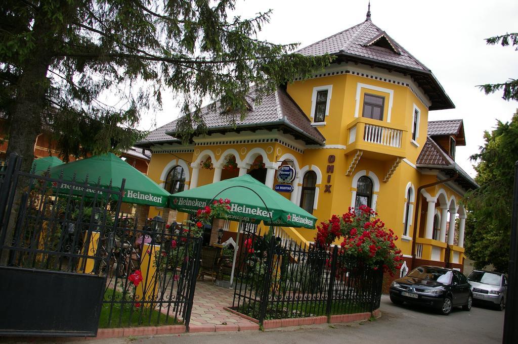 Pensiunea Onix Fagaras Ngoại thất bức ảnh