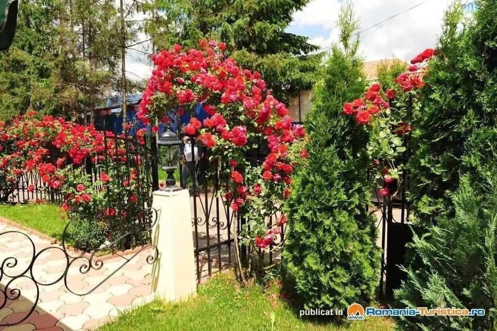 Pensiunea Onix Fagaras Ngoại thất bức ảnh