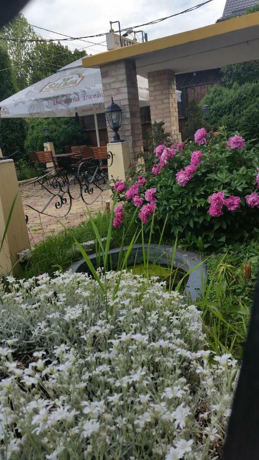 Pensiunea Onix Fagaras Ngoại thất bức ảnh