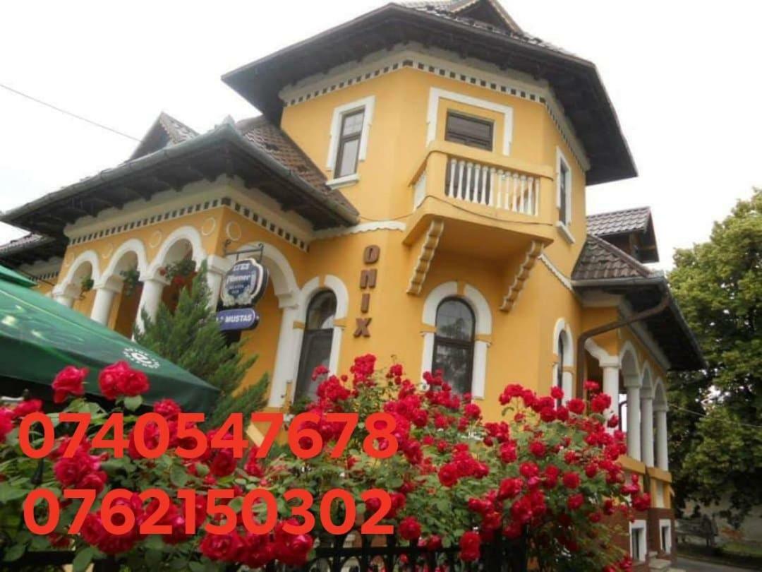 Pensiunea Onix Fagaras Ngoại thất bức ảnh