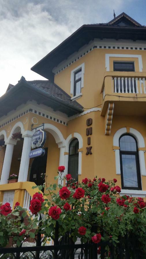 Pensiunea Onix Fagaras Ngoại thất bức ảnh