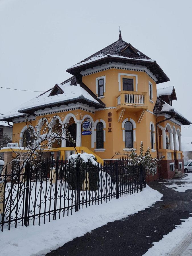 Pensiunea Onix Fagaras Ngoại thất bức ảnh